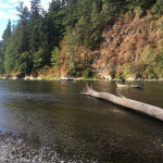 image of a horse across a river awaiting rescue.