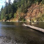 image of a horse across a river awaiting rescue.