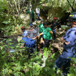 A horse is laying in a dry stream bed with rescuers surrounding it.