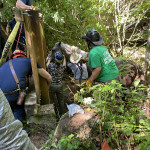 A horse stands in a dry stream bed with rescuers surrounding it.