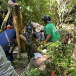 A horse stands in a dry stream bed with rescuers surrounding it.