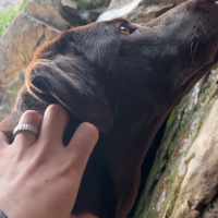 Arlo, 140' Down a Cliff Arlo, 140' Down a Cliff