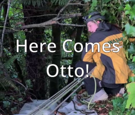 otto-final otto-final